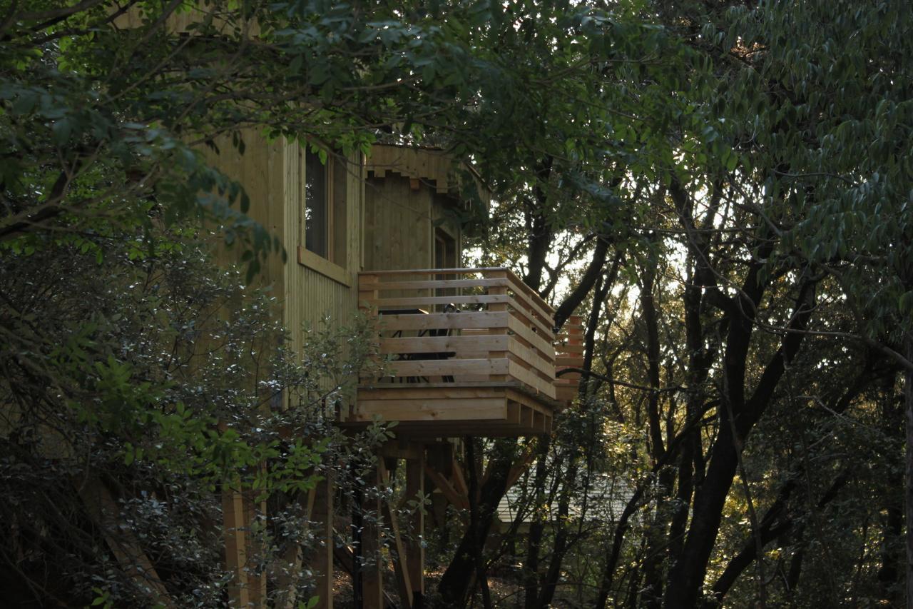 Les Cabanes Dans Les Bois Logis Hotel Villedubert 部屋 写真