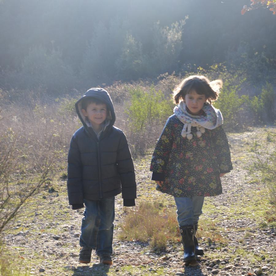 Les Cabanes Dans Les Bois Logis Hotel Villedubert エクステリア 写真